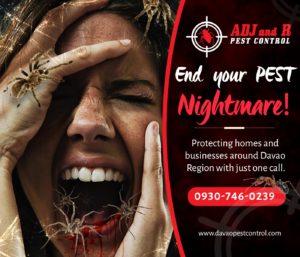 End your Pest Nightmare Protecting homes and businesses around Davao.xx&oh=9c12149445399247d8430878ae9050da&oe=5E1E3E60 - ADJ and R Pest Control Services in Davao City