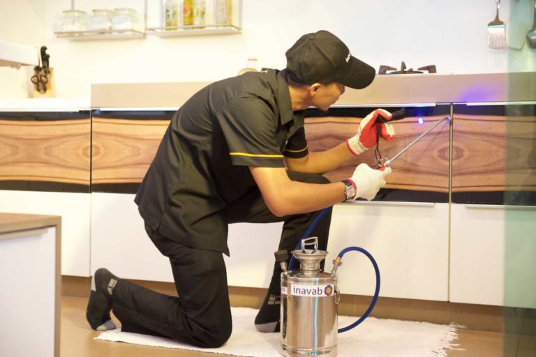 General Pest Control ADJ and R Pest Control Services in Davao City