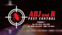 Let's Get Rid With Pests!
 Invest in ADJ and R Pest Control
 ADJ and R PEST…