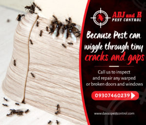 Because Pest can wiggle through tiny cracks and gaps call.xx&oh=962d36b852e8d615d80e679a46d14a7b&oe=5E5B87AA - ADJ and R Pest Control Services in Davao City