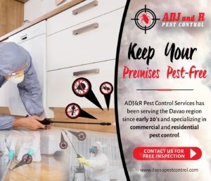 Keep Your Premises Pest Free ADJR Pest Control Services has been.xx&oh=c466af15604e2140e82d3dc4ed680e72&oe=5E1D7EAE - ADJ and R Pest Control Services in Davao City