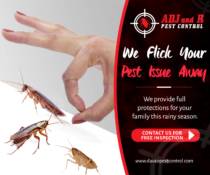 We flick your pest issues away
 Address: ADJ&R Bldg., Blk. 13 Lot 19 Salcedo…