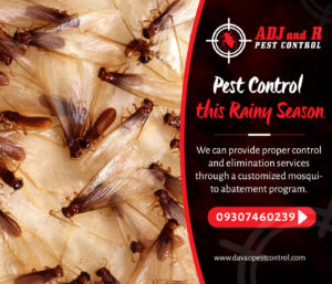 Flying Termites Pest Control this Rainy Season We can provide.xx&oh=829f51938791e8ee81522a46fa364d8c&oe=5E687729 - ADJ and R Pest Control Services in Davao City