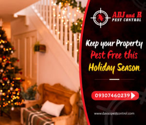 Keep your Property Pest Free this Holiday Season For your.xx&oh=b7b8494f707b8107a15d8c2459cdbcc9&oe=5E721125 - ADJ and R Pest Control Services in Davao City