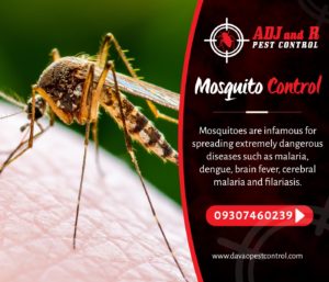 Mosquitoes are annoying pests that often carry of dangerous diseases.xx&oh=125128c705c6233fa7cc4f0a97974117&oe=5E8B3E38 - ADJ and R Pest Control Services in Davao City