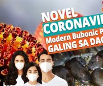 NOVEL CORONAVIRUS MODERN BUBONIC PLAGUE DAW NAGMULA SA DAGA YearOfTheRat.xx&oh=44ca307ae857af4b038768ba32a0c055&oe=5ED3E818 - ADJ and R Pest Control Services in Davao City