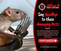 Say Goodbye to those Annoying Pests We carefully evaluate your.xx&oh=fdd5feb3d8257063389cff59aa9a3bcf&oe=5EFE441E - ADJ and R Pest Control Services in Davao City