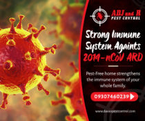 Strong immune system againts 2019-nCoV ARD infections
 Pest-Free home strengthen…