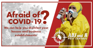 Afraid of COVID 19 We can help you disinfect your houses.xx&oh=e00a3542efb2f46c9a74feaab7413e69&oe=5EA1BB9B - ADJ and R Pest Control Services in Davao City