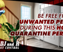 Be free from unwanted pests during this home quarantine period…
 Address: ADJ&…