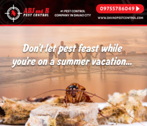 Don’t let pest feast while you’re on a summer vacation.xx&oh=1532d65a9190e635303da9749f6ffe09&oe=5E9933CB - ADJ and R Pest Control Services in Davao City