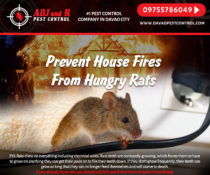 In Observance of Fire Prevention Month.
 Prevent House Fires From Hungry Rats
 F…