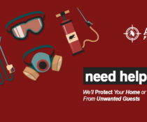 Need Help?
 Well Protect Your Home or Business From Unwanted Guests
 Address: AD…