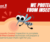 WE PROTECT YOU FROM INSECT BITES Once the Mosquito Control.xx&oh=dda5f26a5fcdef80c73799b28d1252ae&oe=5EC316CF - ADJ and R Pest Control Services in Davao City