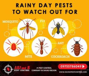 We know this is probably kind of a bummer. You.xx&oh=951e2ea57c058f2d109076cb671e4013&oe=5EE2B6EE - ADJ and R Pest Control Services in Davao City