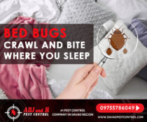 Don't Let the Bed Bugs Bite!!
 No BED BUGS, No WORRIES
 Call us today for f…