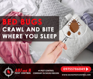 Don039t Let the Bed Bugs Bite No BED BUGS No.xx&oh=d53e3a255074d3d2ff93706ee99d54a6&oe=5EFA2239 - ADJ and R Pest Control Services in Davao City