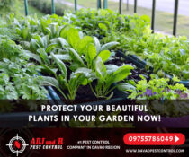 Protect your beautiful plants in your garden now! 
 Still having pests issues?
 …