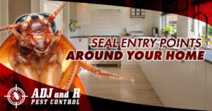 SEAL ENTRY POINTS AROUND YOUR HOME Head outdoors and look.xx&oh=8726d6f9669402acd78e935fff34114c&oe=5F477F47 - ADJ and R Pest Control Services in Davao City