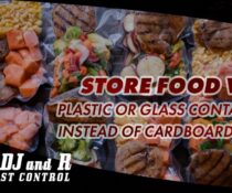 STORE FOOD WELL
 Keeping your food well stored, including placing snacks in seal…