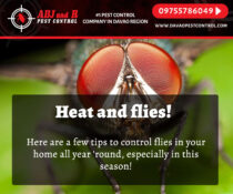 Heat and flies Here are a few tips to control.xx&oh=98ac65ad0b12cfe7222dd4117e9d0b4b&oe=5F7CE16A - ADJ and R Pest Control Services in Davao City
