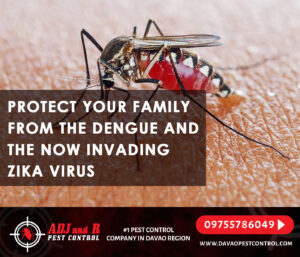 Protect your family from the Dengue and the now invading.xx&oh=ad902901384057cfb20852f7dbd157f0&oe=5F77FA62 - ADJ and R Pest Control Services in Davao City