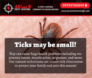 Ticks may be small but they can cause huge health.xx&oh=aabee5a0acc8e1bd94eb8d4e4658c2f5&oe=5F80A2A0 - ADJ and R Pest Control Services in Davao City