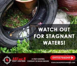 Watch out for stagnant waters This leads to providing the.xx&oh=31652ea6d79467016d520926efd6871e&oe=5F9376EE - ADJ and R Pest Control Services in Davao City
