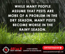 While many people assume that pests are more of a problem in the dry season, man…