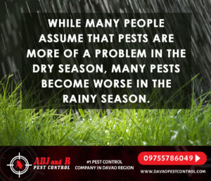 While many people assume that pests are more of a.xx&oh=ed60060425a51a5f9d491b01863f8436&oe=5F8EB5BF - ADJ and R Pest Control Services in Davao City