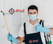 Experience matters when you call ADJ and R Pest.xx&oh=9cea58990dc7384e8d6411a65d313b20&oe=5FC622DB - ADJ and R Pest Control Services in Davao City