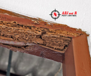 Termites can wreak havoc on homes. Good thing we offer.xx&oh=a50434c9ac94ded0fdf1b4f5dc4eb310&oe=6030B520 - ADJ and R Pest Control Services in Davao City
