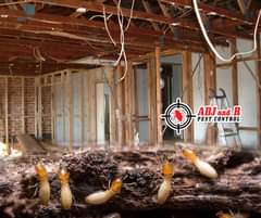Did you know that termites can devalue your property - ADJ and R Pest Control Services in Davao City