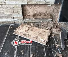 Get a FREE termite inspection with ADJ and R - ADJ and R Pest Control Services in Davao City
