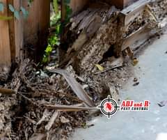 Have you ever had a problem with termites If - ADJ and R Pest Control Services in Davao City