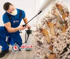 Termite inspections of your properties by a licensed pest - ADJ and R Pest Control Services in Davao City