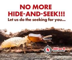 Termites are the hide and seek champs Theyre quiet and they - ADJ and R Pest Control Services in Davao City