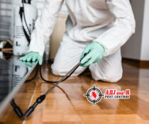 p18 - ADJ and R Pest Control Services in Davao City
