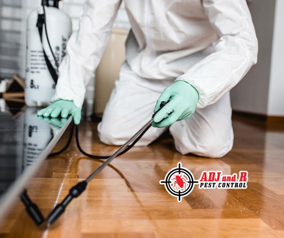 p18 - ADJ and R Pest Control Services in Davao City