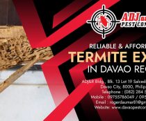 Davao Best Pest Control