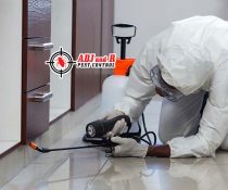 Best Pest Control in Davao CITY
