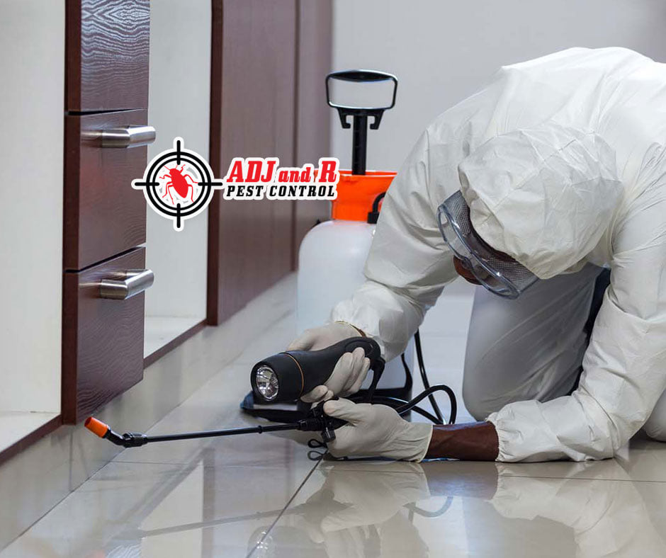 p44 - ADJ and R Pest Control Services in Davao City