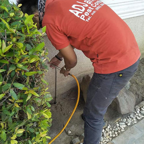 pest control services in Davao City