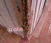 Termite damage is something that no homeowner…