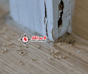 p57 - ADJ and R Pest Control Services in Davao City