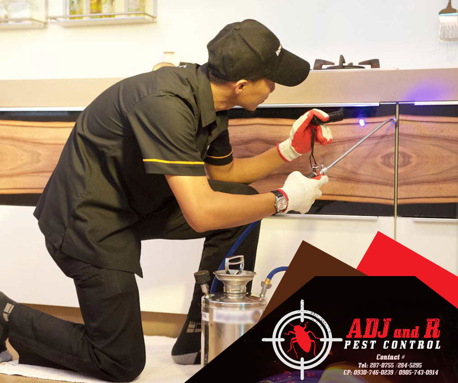 p66 - ADJ and R Pest Control Services in Davao City