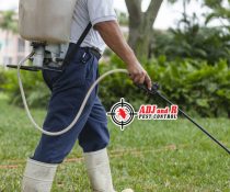 105 1 - ADJ and R Pest Control Services in Davao City
