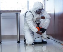 What Are The Various Techniques For General Pest Control?