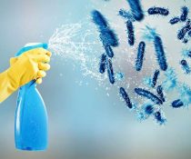 Disinfection: What It Is and Why It's Essential