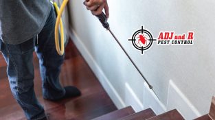 When it comes to termites, we’re here to assist.
